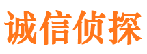 新蔡市私家侦探